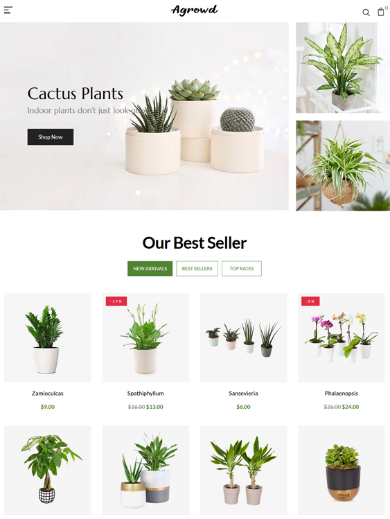 Shopify Themes For Selling House Plants And Succulents