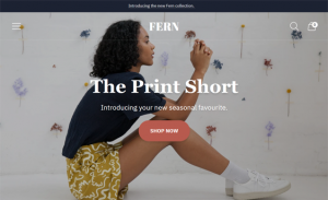Shopify Themes For Women's Fashion And Clothing Stores feature