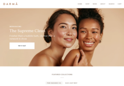 beauty shopify themes feature