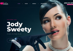 WordPress Themes For Dating Websites feature