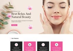 WordPress Themes For Salons And Spas feature