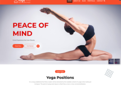 Gym And Fitness WordPress Themes feature
