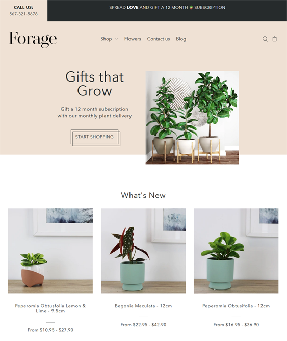 Shopify Themes For Online Home Decor And Homewares Stores