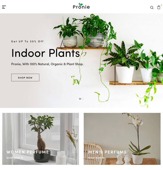 Shopify Themes For Selling House Plants, Flowers, And Succulents