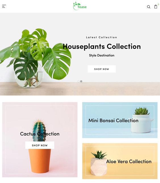 Shopify Themes For Selling House Plants, Flowers, And Succulents
