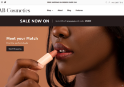 Shopify And BigCommerce Themes For Online Makeup Stores feature