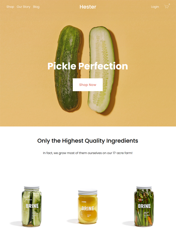 squarespace ecommerce templates for online stores