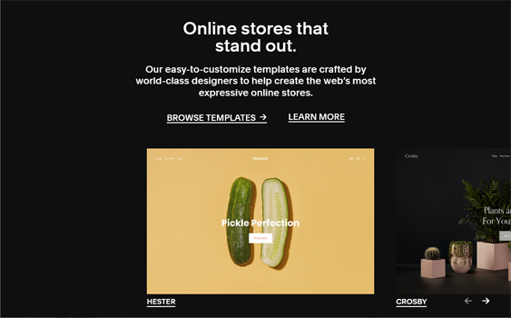 squarespace ecommerce templates for online stores