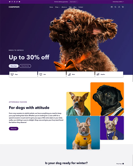 champion vivid online pet store shopify theme
